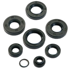 Komplet oljnih tesnil 4TUNE za mašino AM6