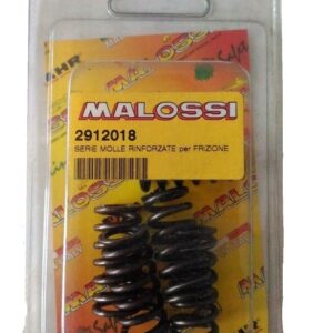 Set vzmeti sklopke -DERBI- MALOSSI RACING