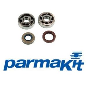 Set ležajev gredi -AM6 -Parmakit -HIGH Speed -SKF C3