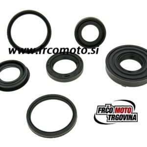 Set oljih tesnil -6 delni - Minarelli - OEM