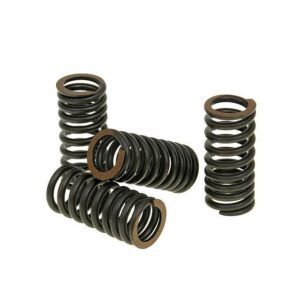 Vzmeti ventilov - Malossi Titanium - Aprilia, Piaggio, Vespa, Gilera V4