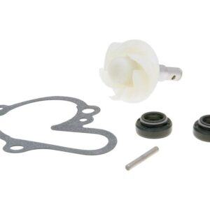 Vodna črpalka set Beeline , CPI SM 50 , SX 50