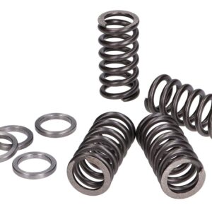 Vzmeti sklopke - Polini - Minarelli AM4, AM5, AM6