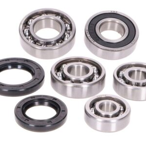 Komplet ležajev gredi za Yamaha X-Max, X-City, Aprilia Leonardo, Malaguti Madison 250-300 4T LC