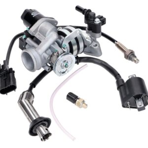 Fuel injection sistem za 139QMB 50cc EFI Euro4 / Euro5, GT Union GT3, Striker, Alpha Motors Shark, GMX 460