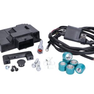 ECU odprt - Naraku -Piaggio Liberty, Zip, Vespa Primavera Euro5