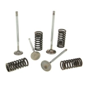 Ventili set Malossi Racung z vzmetmi za Piaggio 4V LC motroje 125 - 300cc