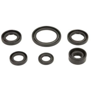 Set oljnih tesnil Cross 110/125cc ( kitajski)