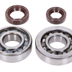 Set ležajeva radilice Naraku SKF, FKM Premium C3, C4 poliamid za Peugeot Vertical E2