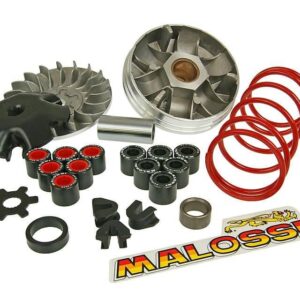 Variomat Malossi Overrange za Minarelli