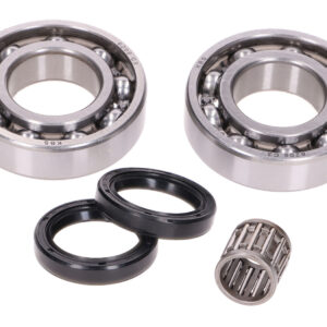 Set ležajeva radilice s uljnim semerinzima – Rotax 122, 123
