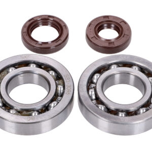 Set ležajeva Naraku / SKF C3 - FKM semerinzi – Honda X8R 50